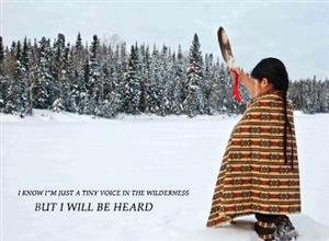 IWillBeHeard 