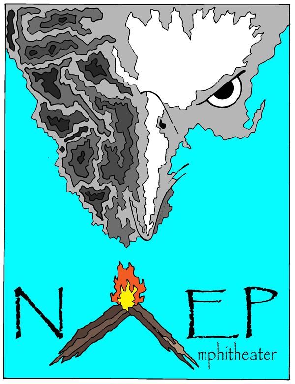NAEP NAEP