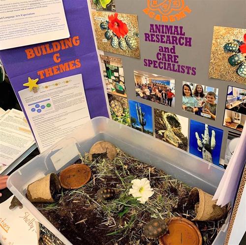 Animal Research Project 