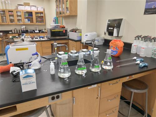 Lab