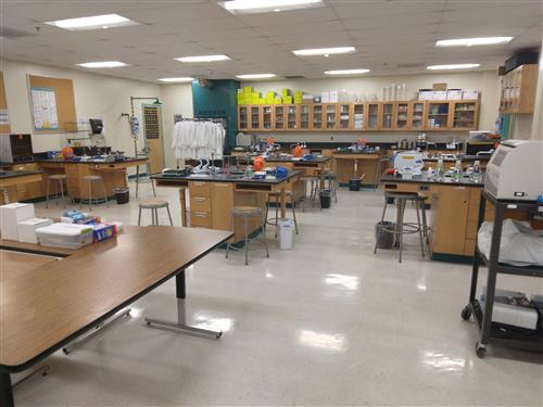 Lab