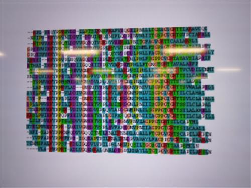 DNA alignment