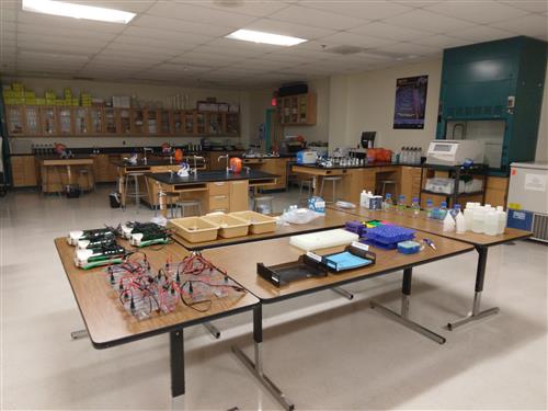 Lab