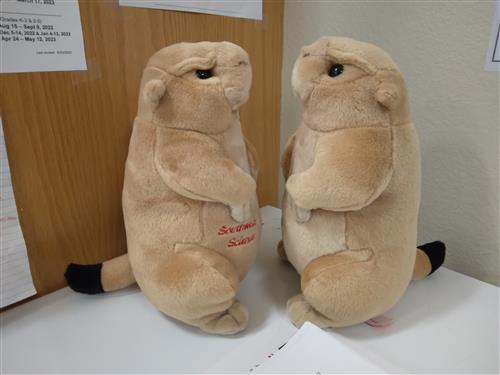 Prairie dogs