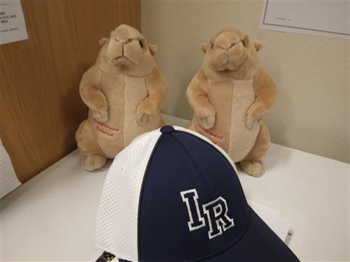 IR Prairie dogs