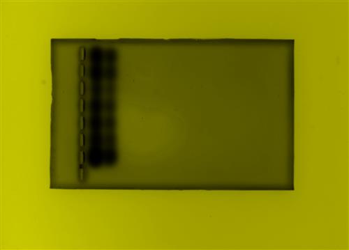 Gel green