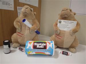 Prairie dogs