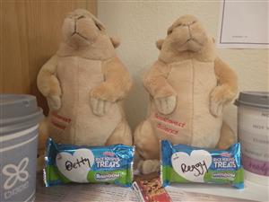 treats