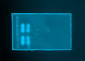 Gel