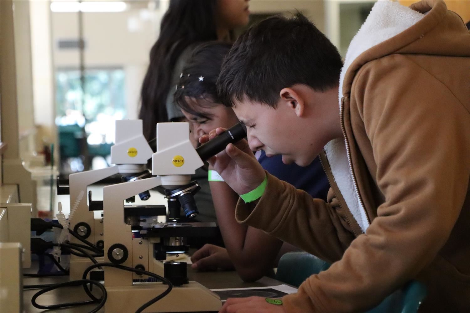 microscope
